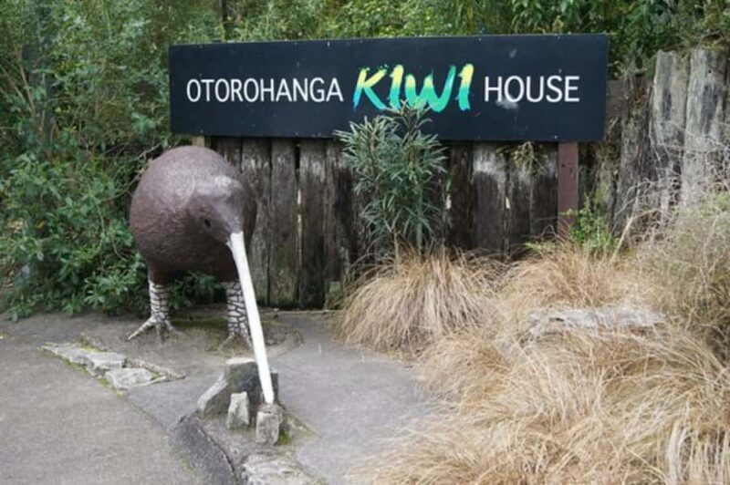 From Auckland: Waitomo Caves and Kiwi House Group Tour - Final Thoughts