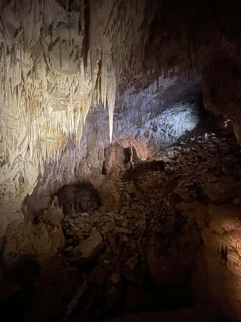 From Auckland: Waitomo Caves and Kiwi House Group Tour - From Auckland: Waitomo Caves and Kiwi House Group Tour Review