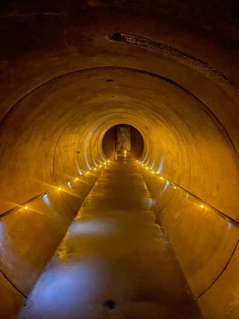 From Auckland: Waitomo Caves and Kiwi House Group Tour - Key Points