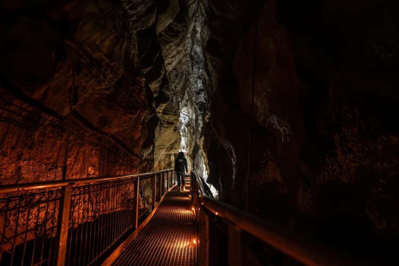 From Auckland: Waitomo Caves and Kiwi House Group Tour - Practical Considerations and Tips