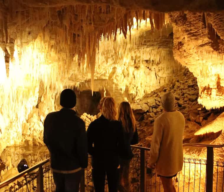 From Auckland: Waitomo Glow Worm Caves & Rotorua Tour - Exploring the Itinerary: What to Expect