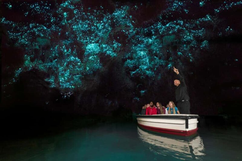 From Auckland: Waitomo Glow Worm Caves & Rotorua Tour - The Practicalities: What’s Included and What You Should Know