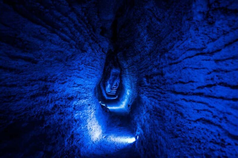 From Auckland: Waitomo Glowworm and Ruakuri Caves Day Tour - What to Expect from This Tour
