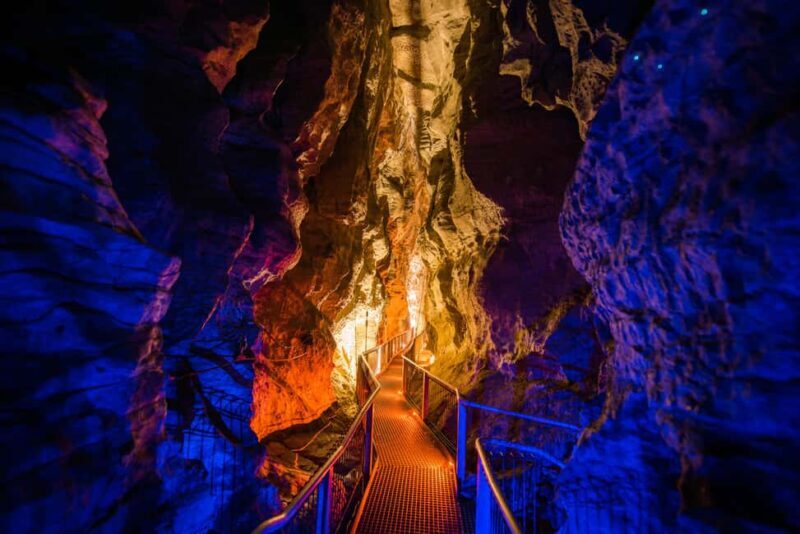 From Auckland: Waitomo Glowworm and Ruakuri Caves Day Tour - What’s Included and What to Bring