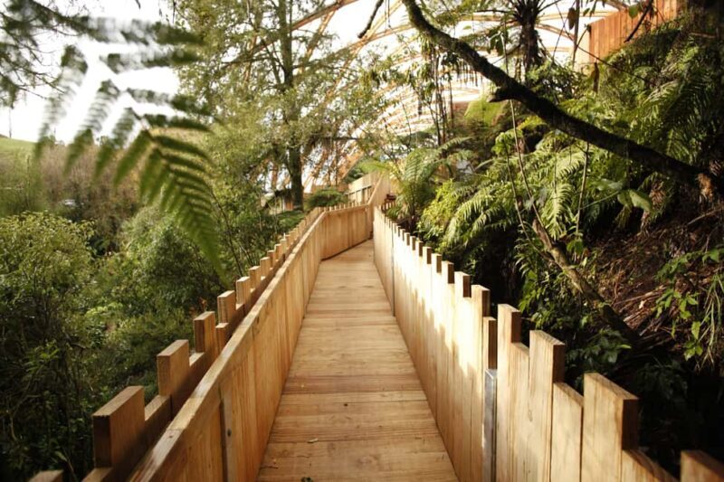 From Auckland: Waitomo Glowworm and Ruakuri Caves Day Tour - Authentic Insights from Reviewers