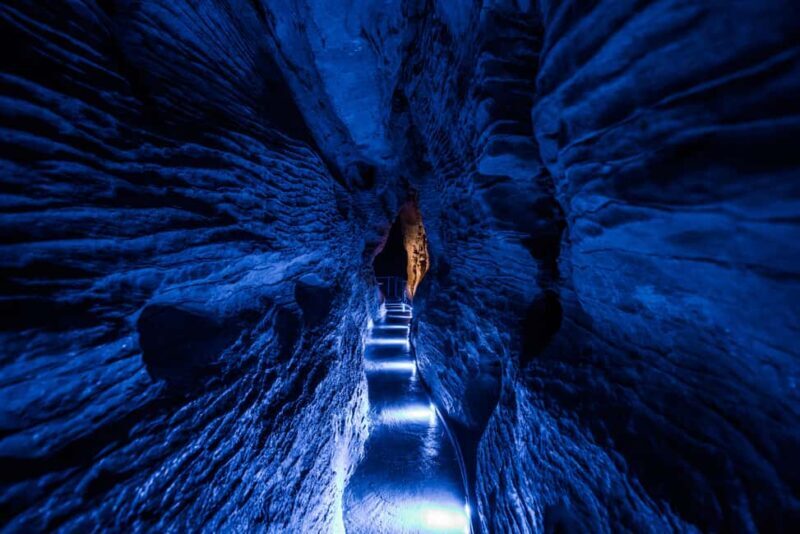 From Auckland: Waitomo Glowworm and Ruakuri Caves Day Tour - Who Should Consider This Tour?