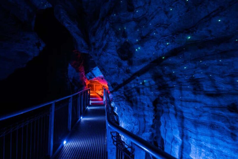 From Auckland: Waitomo Glowworm and Ruakuri Caves Day Tour - Final Thoughts