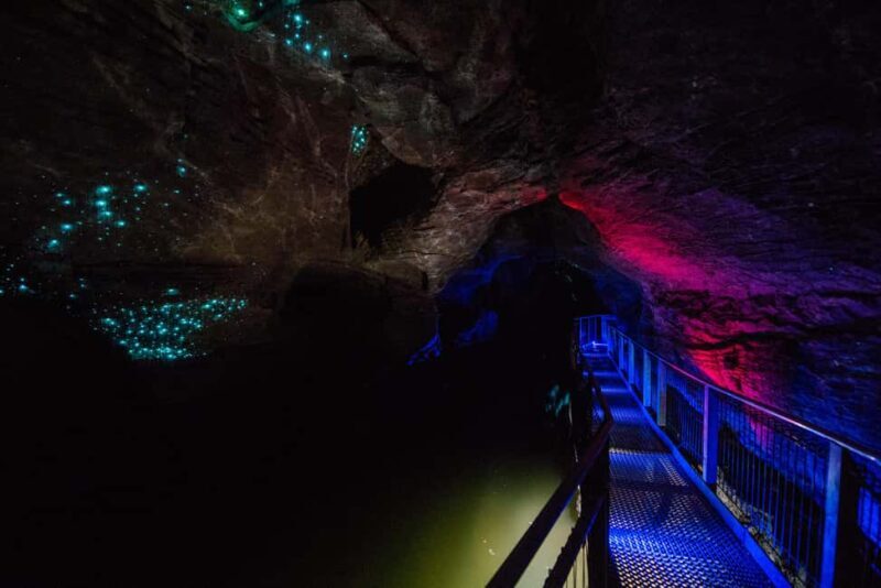 From Auckland: Waitomo Glowworm and Ruakuri Caves Day Tour - FAQ