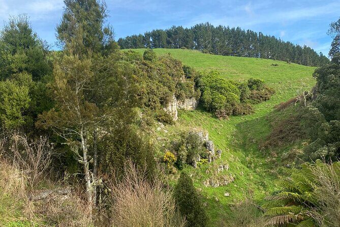 From Auckland: Waitomo Glowworm & Cave Explorer Small Group Tour - Is This Tour Worth It?