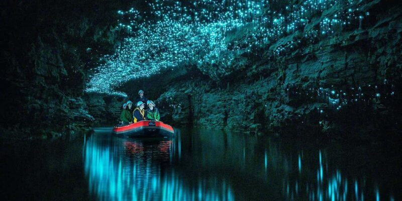 From Auckland: Waitomo Glowworm Cave Tour - Overview of the Experience