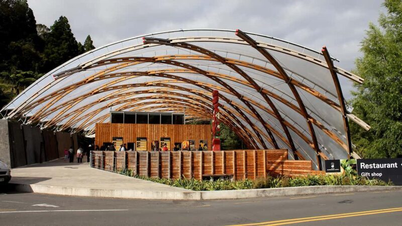 From Auckland: Waitomo Glowworm Cave Tour - The Itinerary in Detail