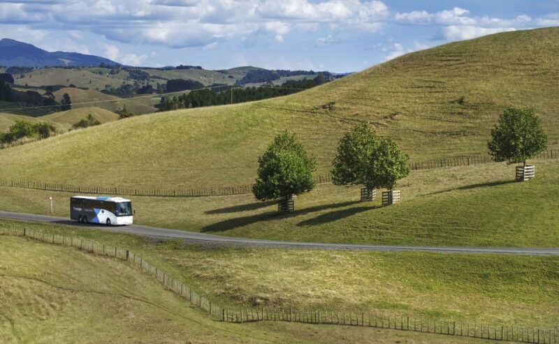 From Auckland: Waitomo & Hobbiton Bus Tour with Lunch - FAQs