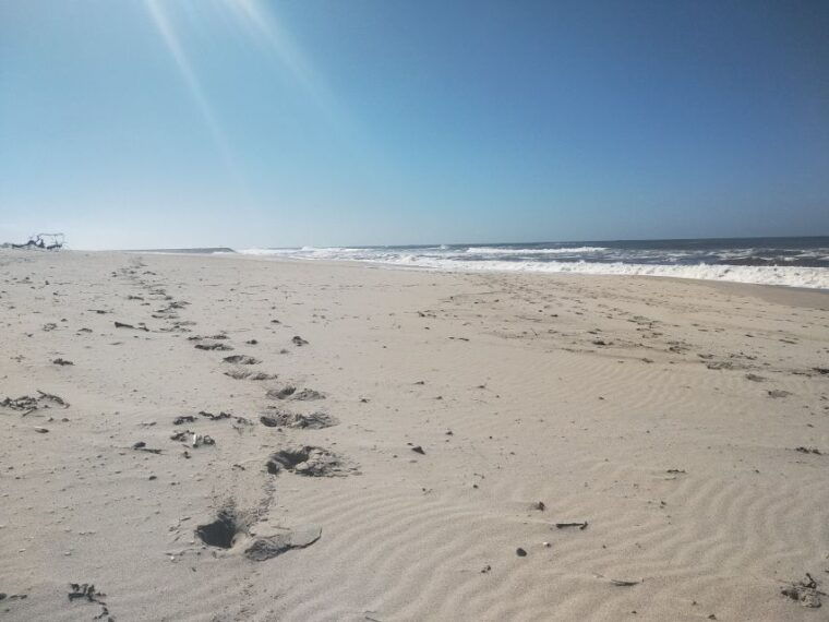 from-aveiro-barra-beach-lighthouse-costa-nova-guided-tour