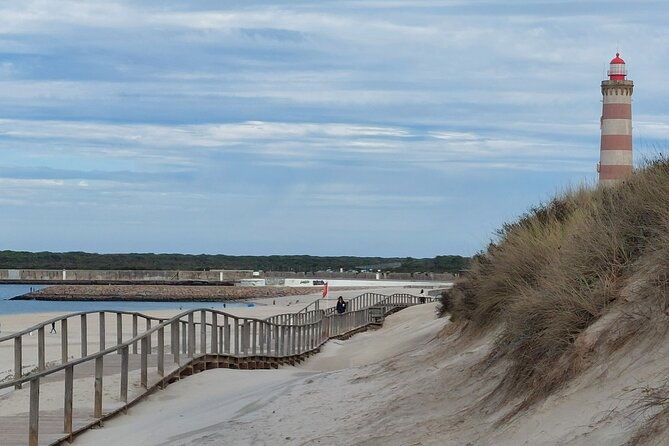 from-aveiro-costa-nova-barra-vista-alegre-half-day-trip