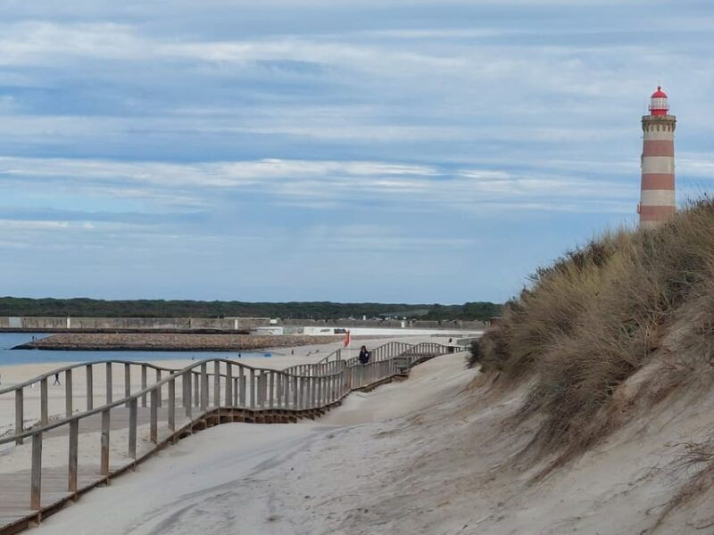 from-aveiro-ilhavo-barra-costa-nova-and-vista-alegre-tour