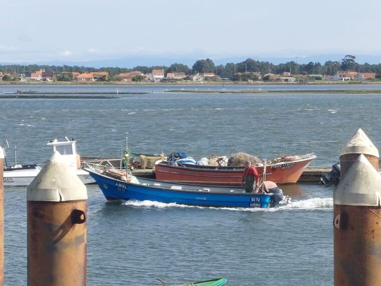 from-aveiro-ilhavo-barra-costa-nova-and-vista-alegre-tour