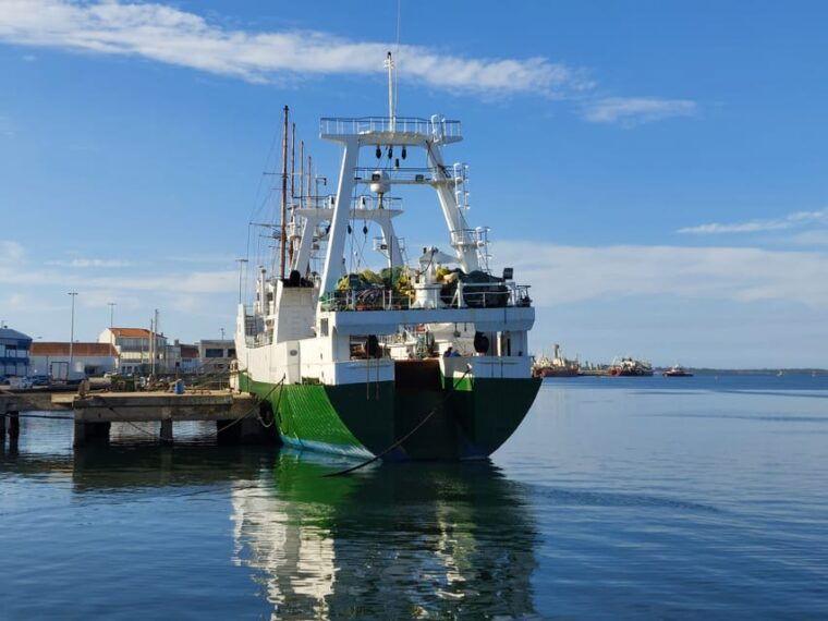 from-aveiro-ilhavo-barra-costa-nova-and-vista-alegre-tour