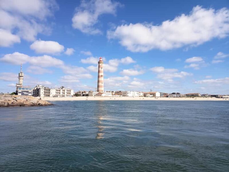 From Aveiro to the Beaches by Boat - The Value of the Experience