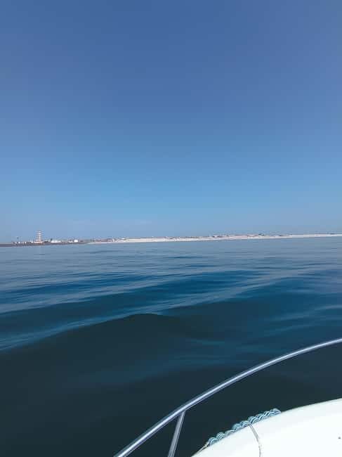 From Aveiro to the Beaches by Boat - Who Should Consider This Tour?