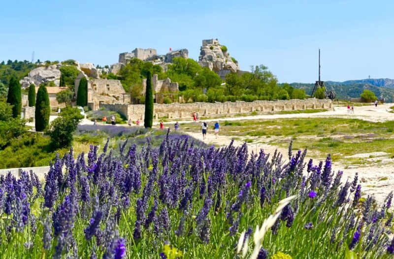 from-avignon-arles-les-baux-de-provence-saint-remy-tour