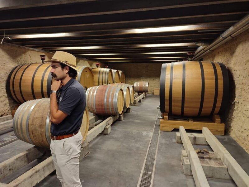 from-avignon-chateauneuf-du-pape-half-day-wine-tour