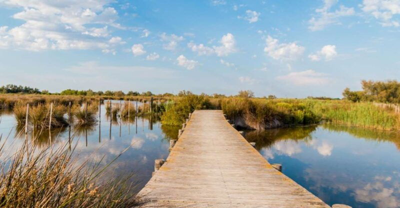 from-avignon-half-day-camargue-and-saintes-maries-de-la-mer