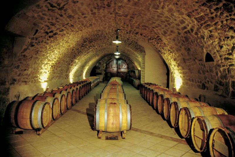 from-avignon-half-day-great-vineyards-tour