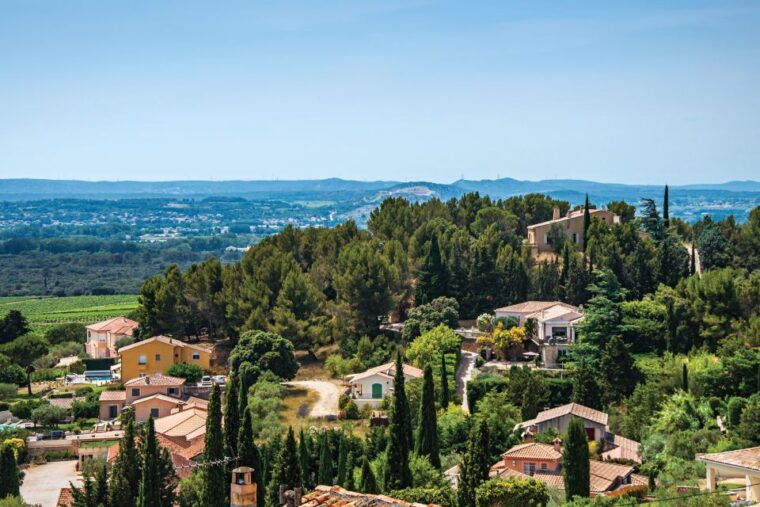 from-avignon-half-day-great-vineyards-tour