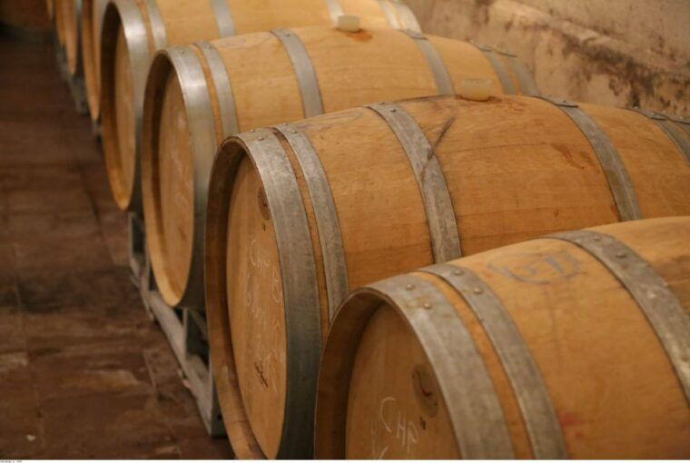 from-avignon-half-day-great-vineyards-tour