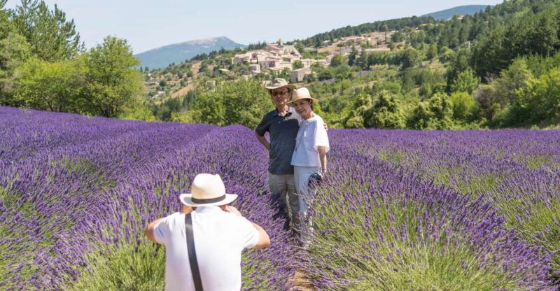 from-avignon-half-day-lavender-tour-of-luberon