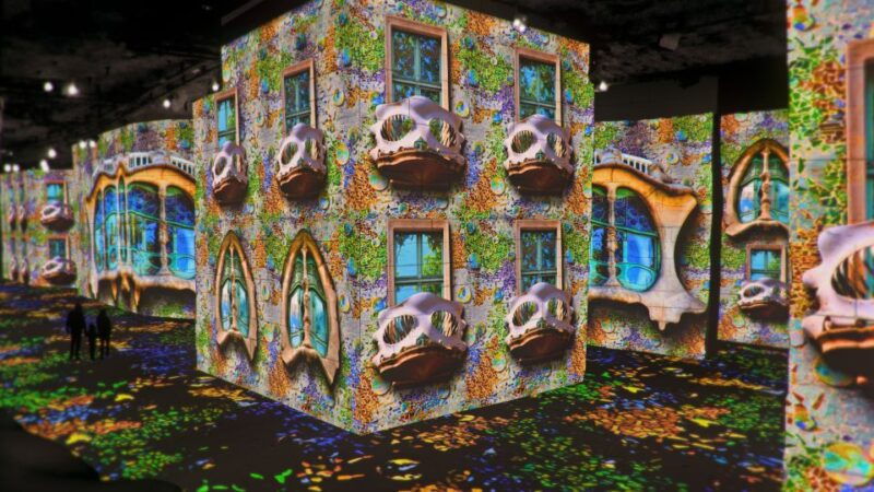 from-avignon-half-day-van-gogh-carrieres-de-lumieres-tour