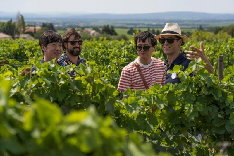 from-avignon-luberon-and-chateauneuf-du-pape-full-day-tour