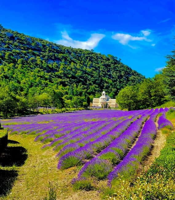 From Avignon: Provence Highlights Full-Day Tour - Starting at Fontaine de Vaucluse: Nature’s Hidden Gem