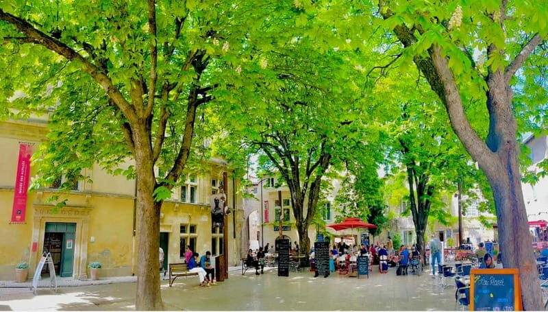 From Avignon: Provence Highlights Full-Day Tour - Additional Insights from Visitors