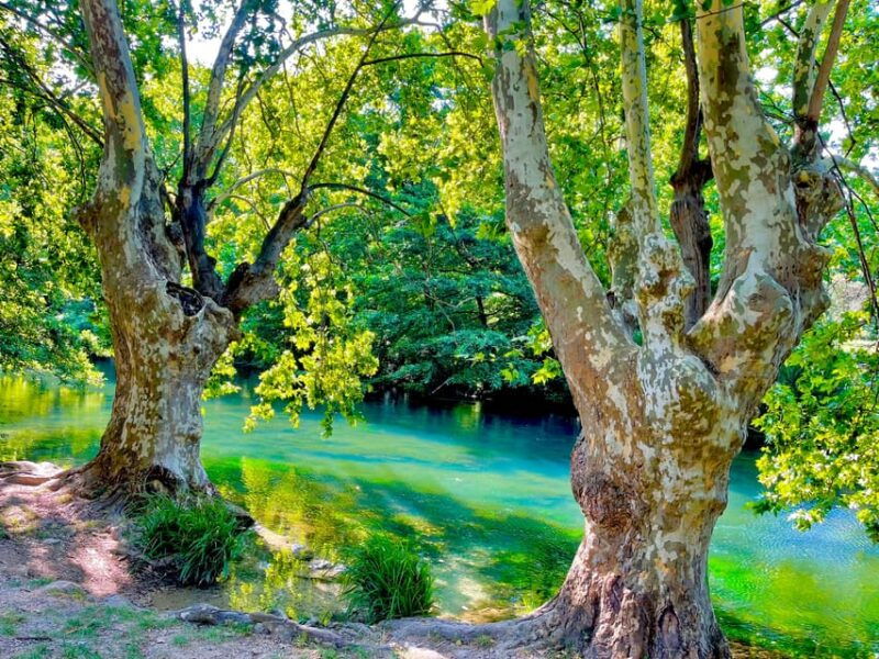 from-avignon-provence-highlights-full-day-tour