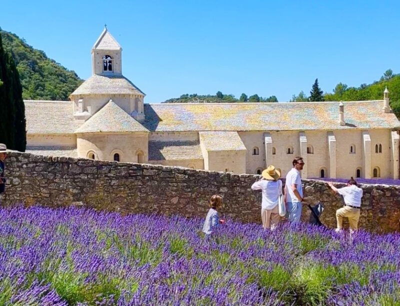 from-avignon-the-best-of-luberon