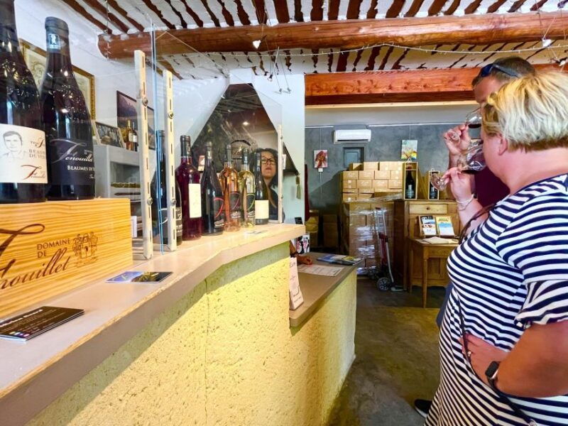 from-avignon-wine-tour-in-3-places-inc-chateauneuf-du-pape