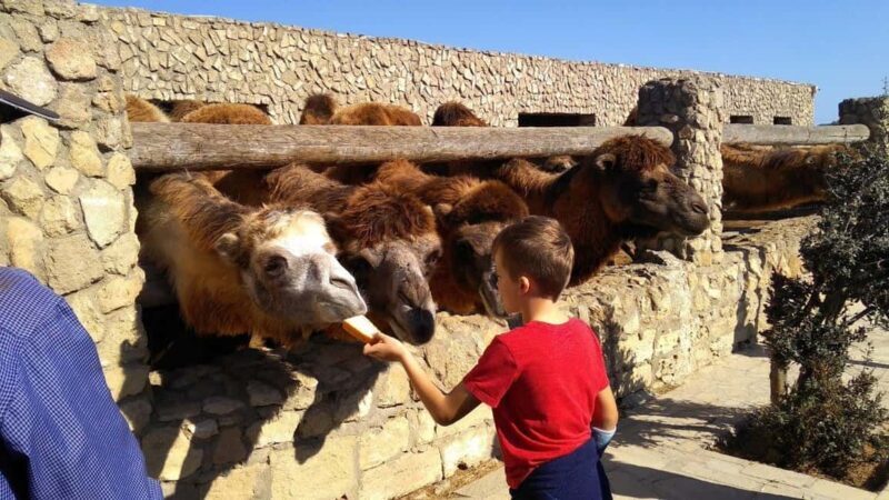 From Baku: Absheron National Park & Pirallahi Island Tour - FAQs