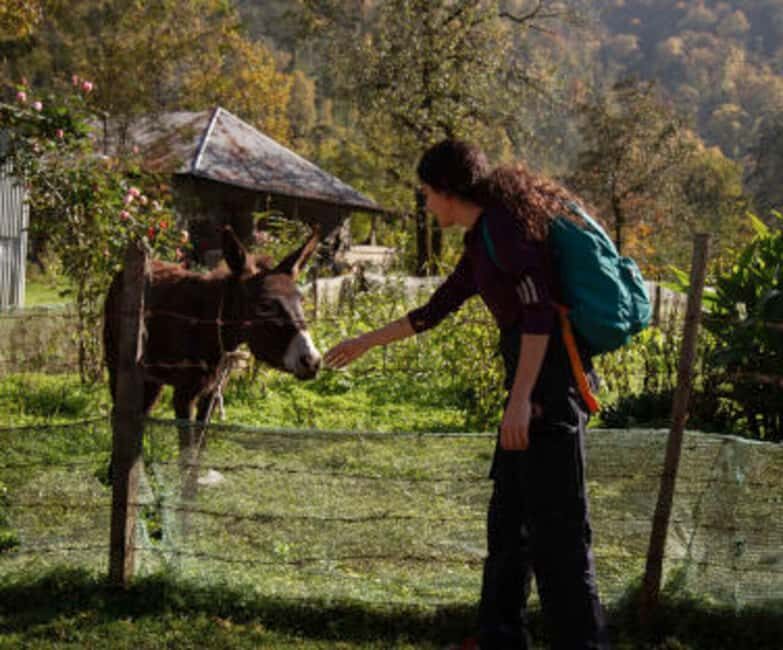 From Baku: Astara Day Trip with Sim Waterfall Hike - Why This Trip Fits Certain Travelers Best