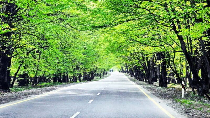 From Baku: Gabala, Tufandagh Mountain and Shamakhi Tour - The 7 Beauty Waterfall: Nature’s Refreshing Touch