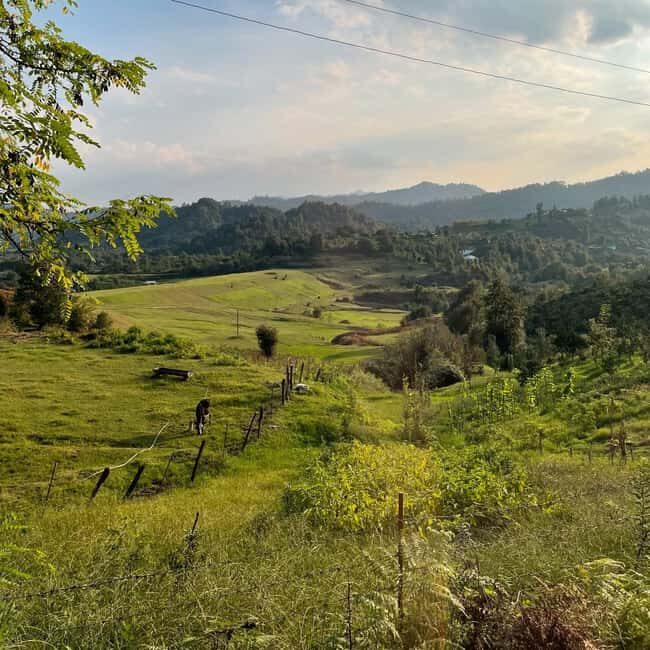 From Baku: Sim Waterfall & Ballgaya Hiking Tour - Who Should Consider This Tour?