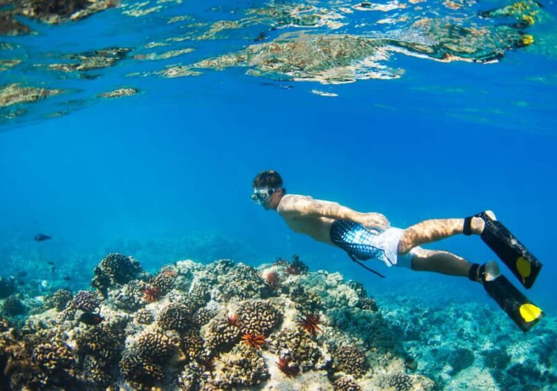 From Bali: 2-Day Gili Trawangan Escape with Hotel & Snorkel - Transportation & Logistics