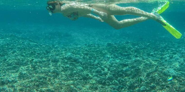 from-bali-2-day-nusa-penida-and-lembongan-complete-tour
