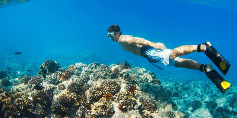 from-bali-2-day-private-gili-island-snorkel-tour-with-hotel