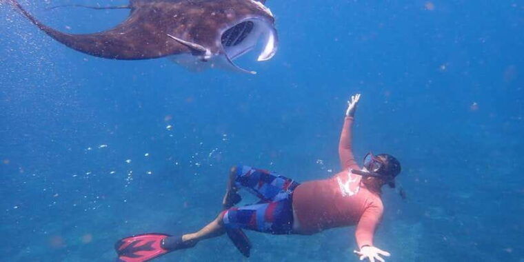 from-bali-3-snorkeling-spots-tour-to-lembongan-and-penida