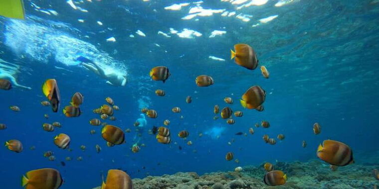 from-bali-3-snorkeling-spots-tour-to-lembongan-and-penida