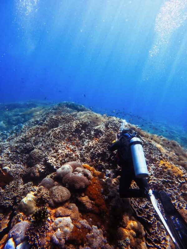 From Bali: Beginner Scuba Diving to Nusa Penida & Lembongan - FAQ