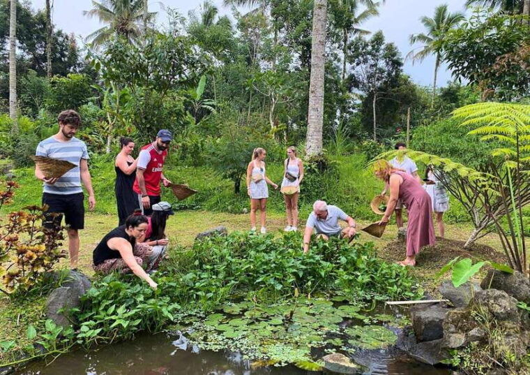 from-bali-cooking-class-at-ubud-organic-farm