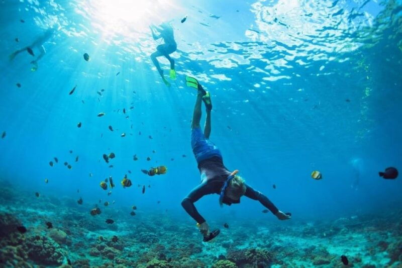 from-bali-explore-west-nusa-penida-with-snorkeling
