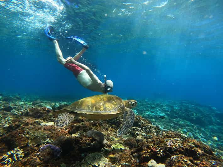 from-bali-explore-west-nusa-penida-with-snorkeling